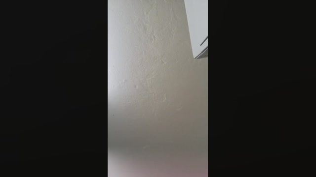 sweet_scarlett_  25-06-2022